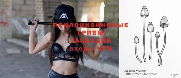эйфоретик Алексеевка